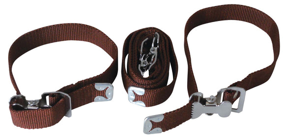 CBSPK2 | CBSPK2~2.jpg