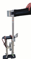 CBS101 | CBS101~1.jpg